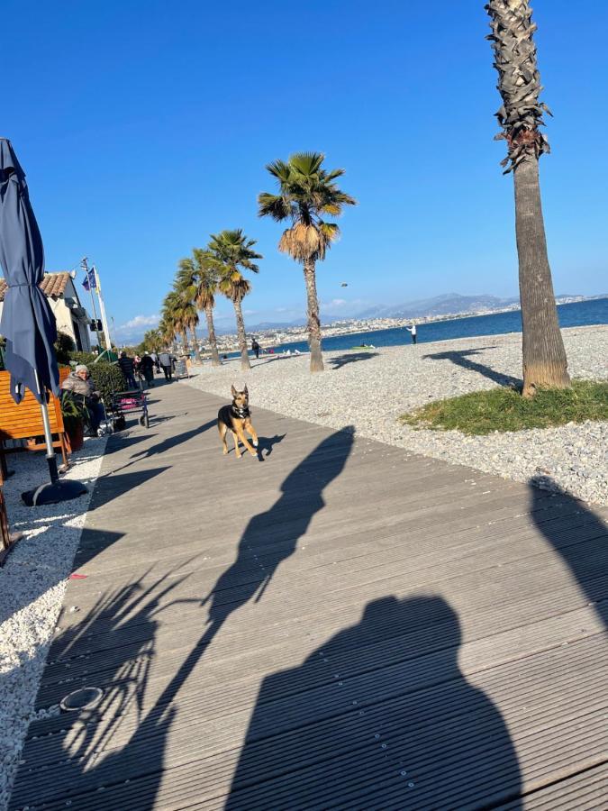 Villeneuve Loubet Plage- Entre Nice Et Cannes Exteriér fotografie