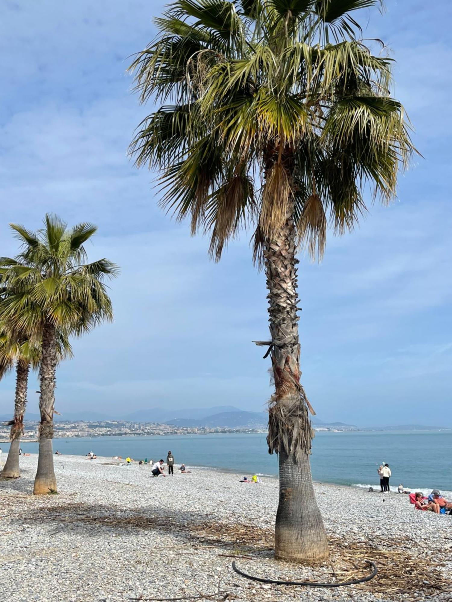 Villeneuve Loubet Plage- Entre Nice Et Cannes Exteriér fotografie