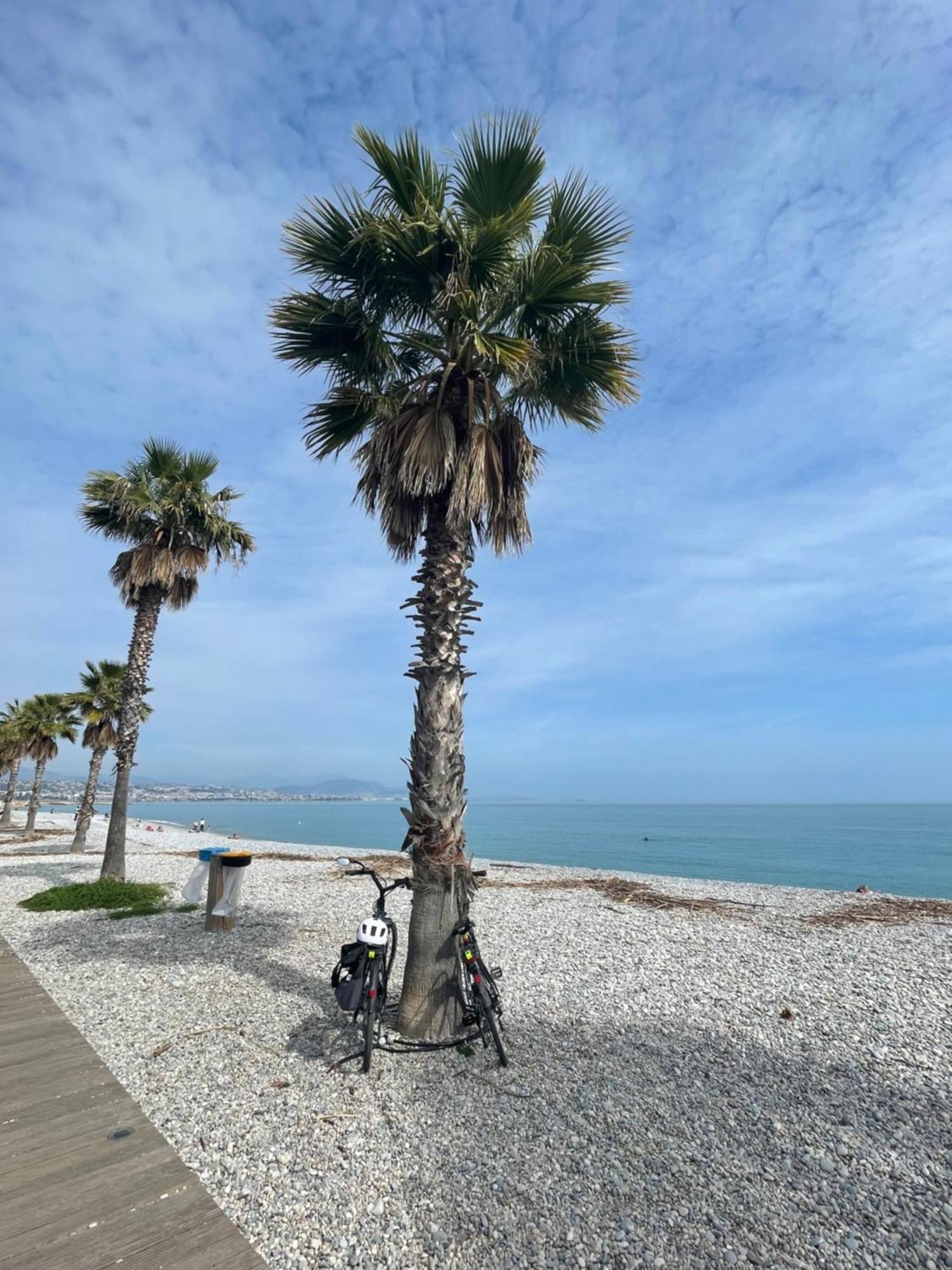Villeneuve Loubet Plage- Entre Nice Et Cannes Exteriér fotografie