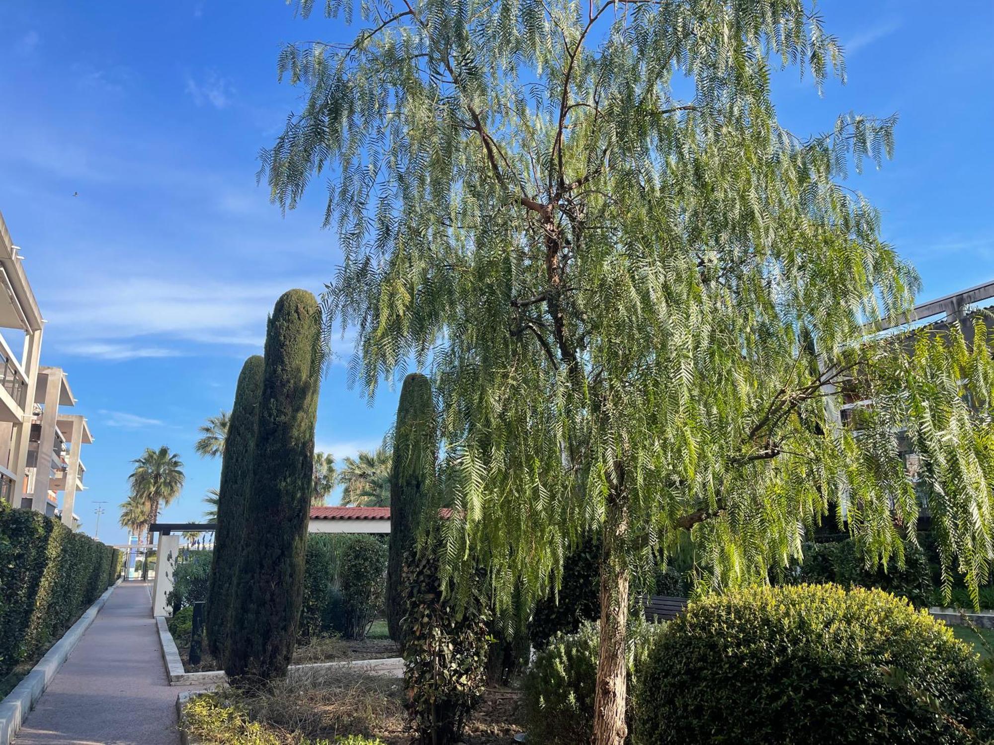 Villeneuve Loubet Plage- Entre Nice Et Cannes Exteriér fotografie