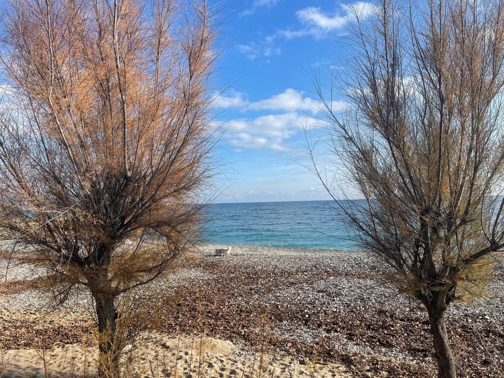 Villeneuve Loubet Plage- Entre Nice Et Cannes Exteriér fotografie