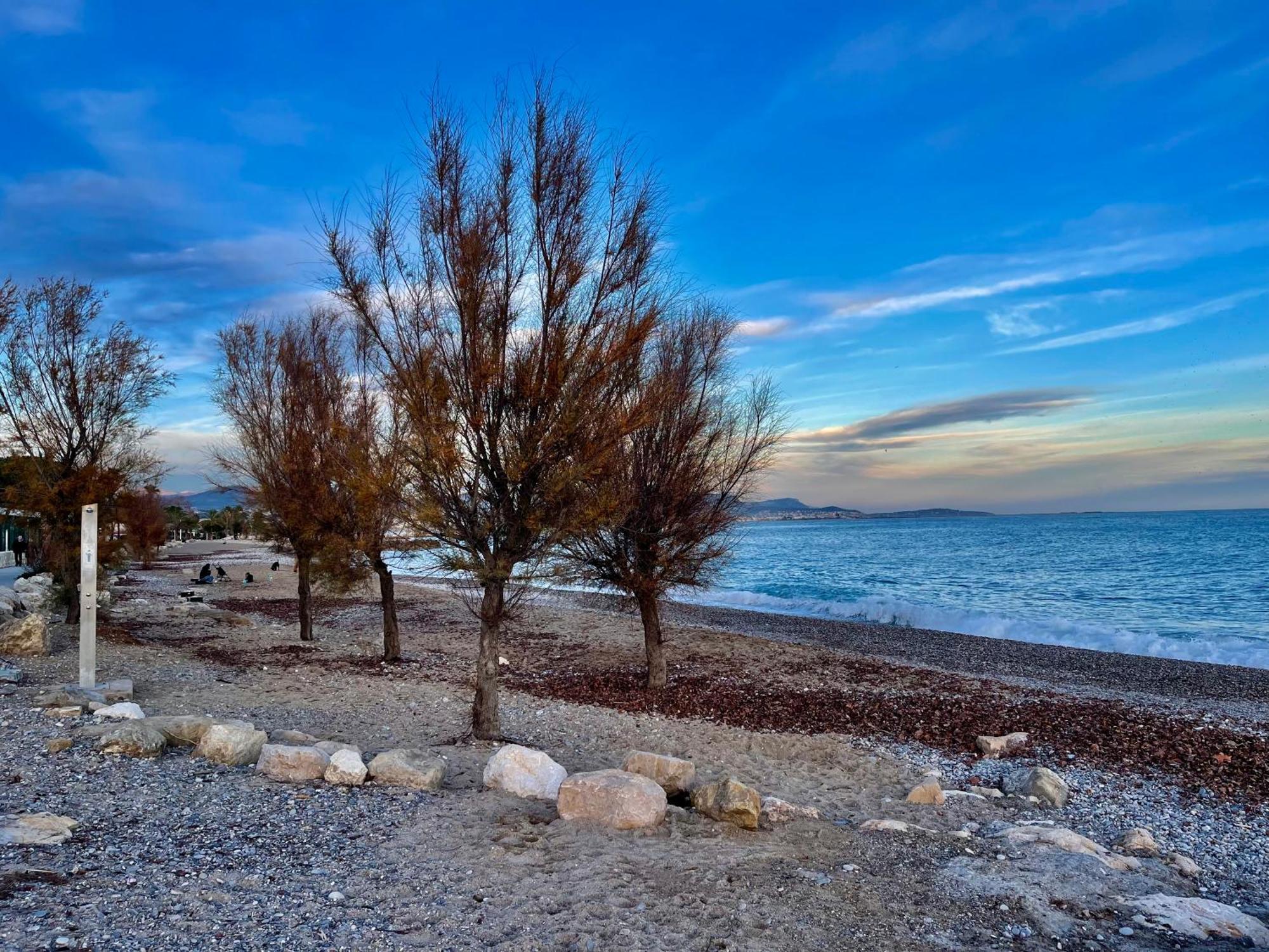 Villeneuve Loubet Plage- Entre Nice Et Cannes Exteriér fotografie